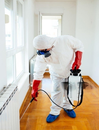 pest control services in gorakhpur