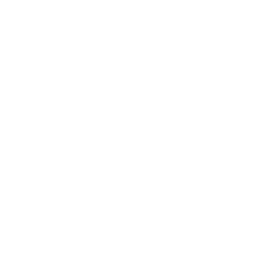 8-ico